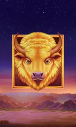 Buffalo's Sun 2